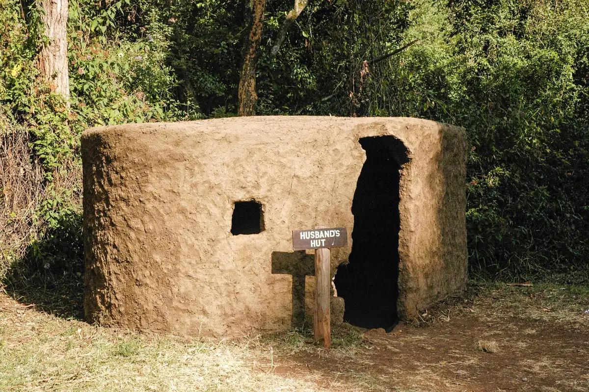 Traditionele ronde lemen woning met een klein raam op een open plek in het bos