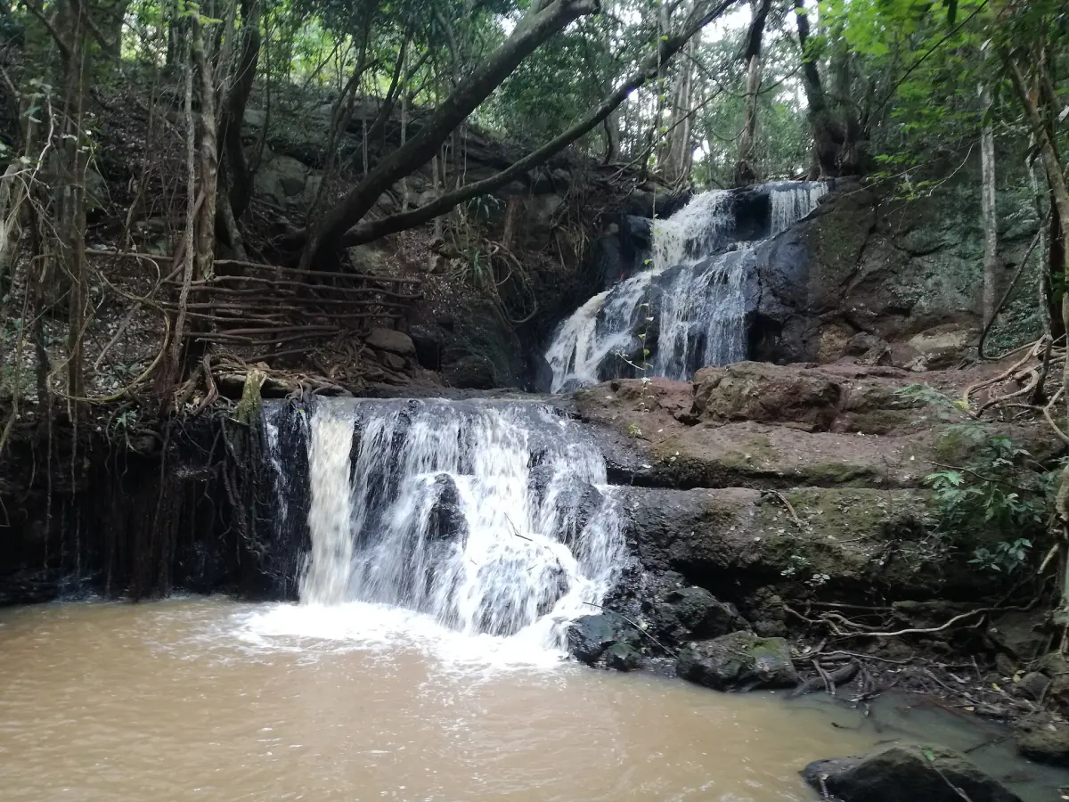Small waterfall tumbling over rocks into a pool in Karura Forest
