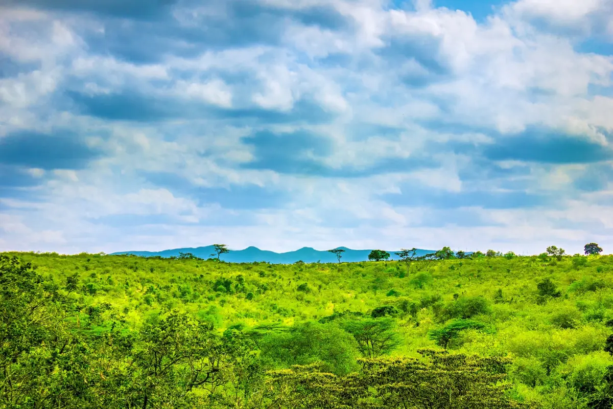 Green rolling countryside under a cloudy blue sky near the Ngong Hills