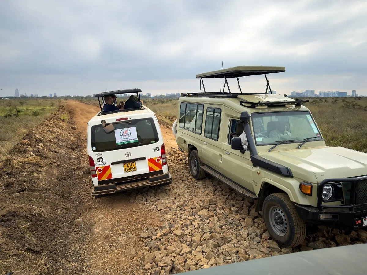Two safari vehicles on a dirt track crossing the open park
